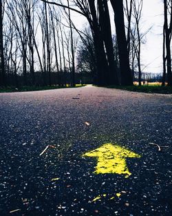 Road passing through trees