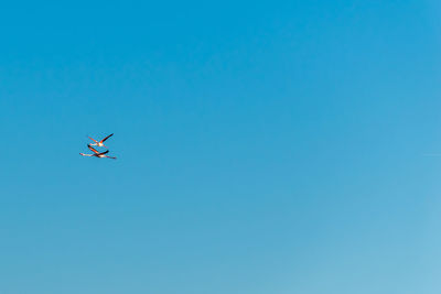Low angle view of airplane flying against clear blue sky