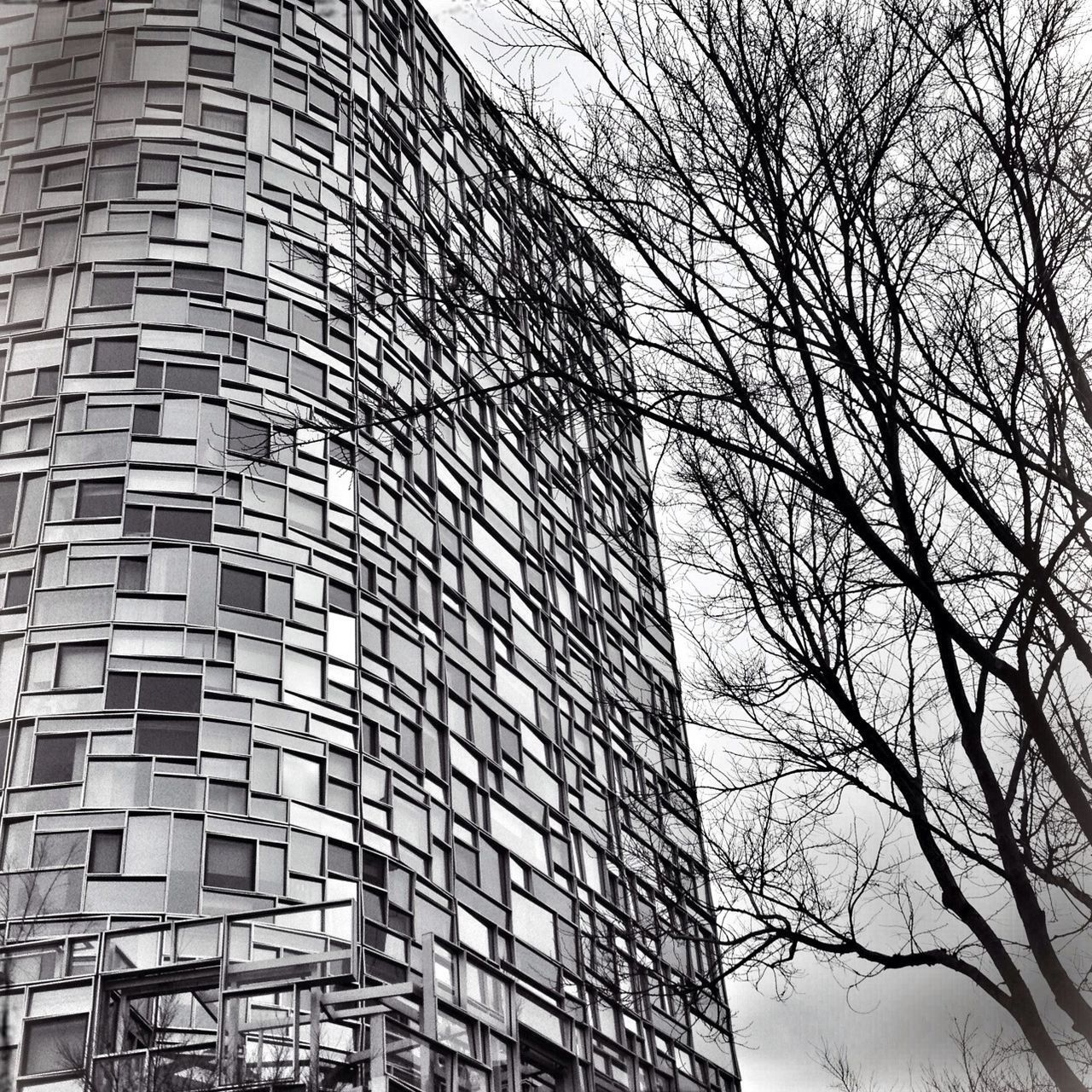 architecture, building exterior, built structure, low angle view, bare tree, city, building, office building, modern, tall - high, skyscraper, tree, tower, branch, window, sky, day, outdoors, no people, clear sky