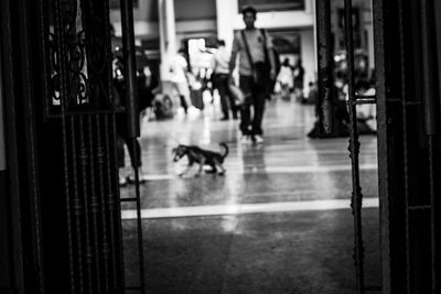 People walking on street in city