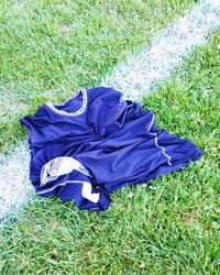 View of grassy field