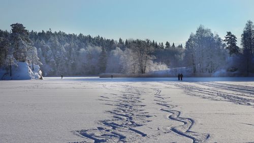 Snow covered land and trees against sky