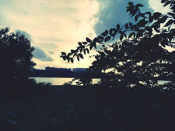 Low angle view of silhouette trees against sky