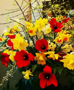 Close-up of red flowering plant in park
