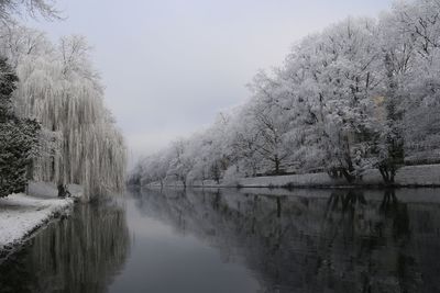 Scenic view of lake by trees against clear sky