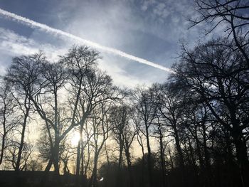 Low angle view of silhouette trees against sky