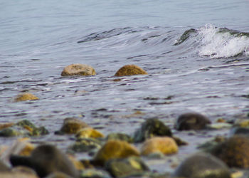 Close-up of water in lake