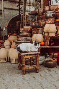 View of market stall for sale