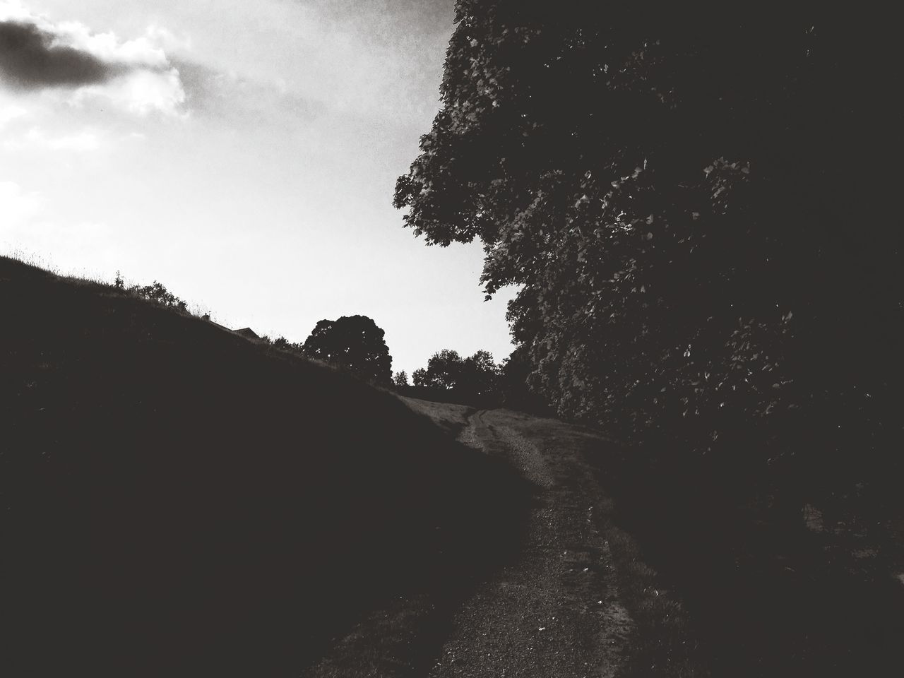 sky, the way forward, tree, road, tranquility, transportation, tranquil scene, diminishing perspective, nature, silhouette, landscape, cloud - sky, vanishing point, street, outdoors, scenics, beauty in nature, no people, cloud, non-urban scene