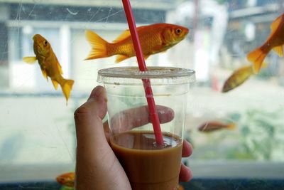 Midsection of person holding fish in glass