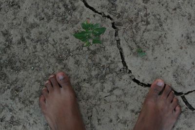 Low section of woman feet on sand