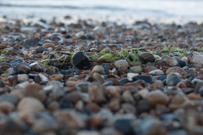 Surface level of pebbles on beach