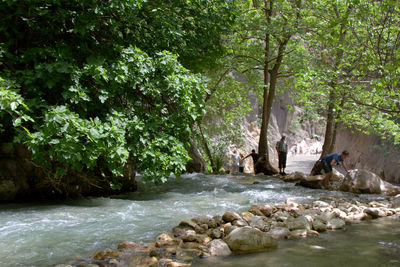 River flowing through rocks in forest