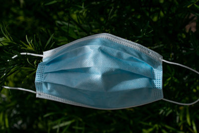 Close-up of blue umbrella against plants
