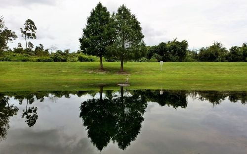 Reflection of trees in lake against sky