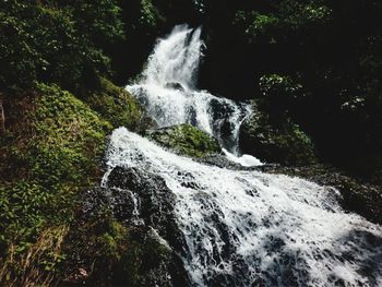 Water flowing through rocks in forest