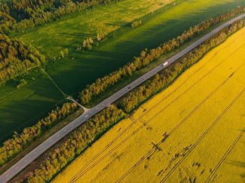 Scenic view of agricultural field