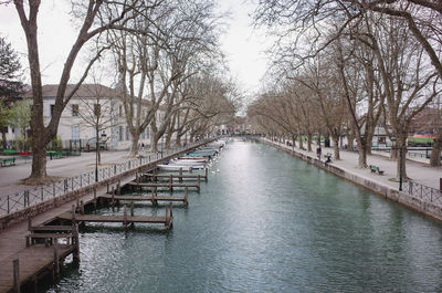 Canal amidst bare trees in city