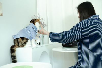 Woman trader in pajamas cloth work and check graph online from home and play with her cat