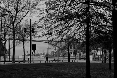 Bare trees in park against sky