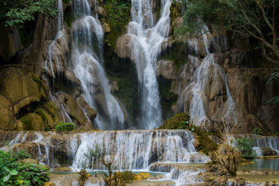 Scenic view of waterfall in forest