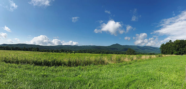 Scenic view of field against sky