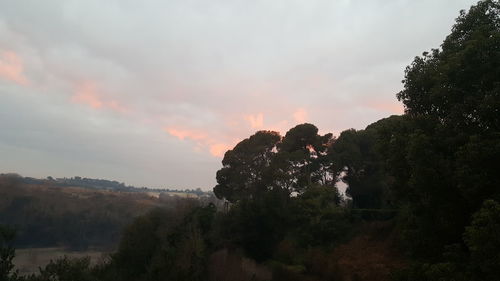 Scenic view of trees against sky during sunset