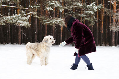 Full length of a dog on snow