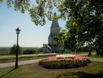 View of flowering plants in garden