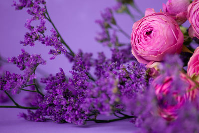 Close-up of pink flowering plant