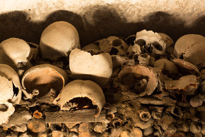 Close-up of human skull