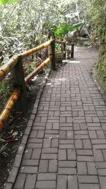 View of footpath in park