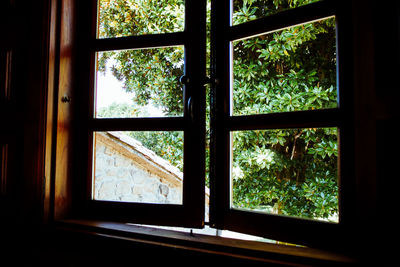 Close-up of trees seen through window