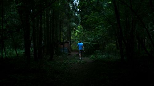 Rear view of man standing in forest