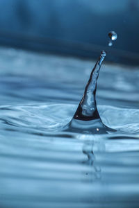 Close-up of water drop on surface