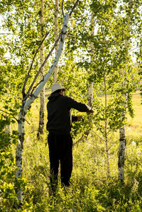 Rear view of man standing amidst trees