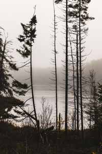 Scenic view of lake against sky during foggy weather