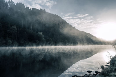 Scenic view of lake by trees against sky