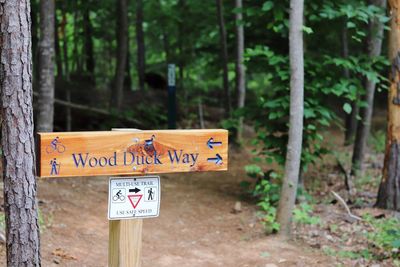 Information sign on tree trunk in forest