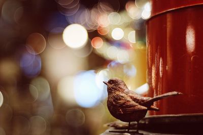 Close-up of artificial bird against illuminated defocused lights at night