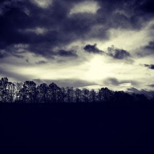 Silhouette trees in forest against sky