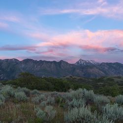 Scenic view of landscape against sky during sunset