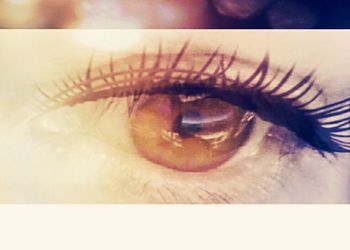 Close-up of human eye