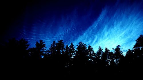 Low angle view of silhouette trees against sky at night