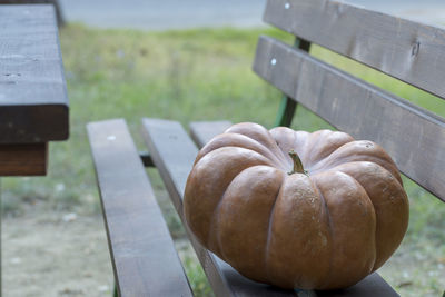 Close-up of pumpkins on field