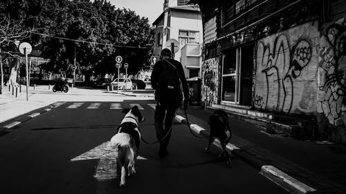 People walking on street in city