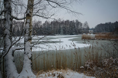 Scenic view of snow covered landscape