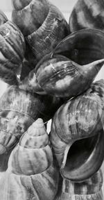 Full frame shot of vegetables for sale