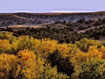 Scenic view of landscape against sky during autumn