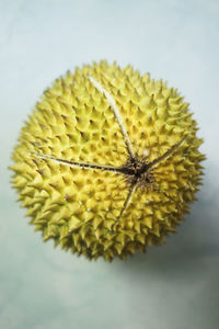 Close-up of sunflower